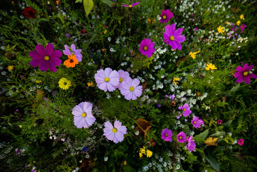 1120562 (a): :2880x1920